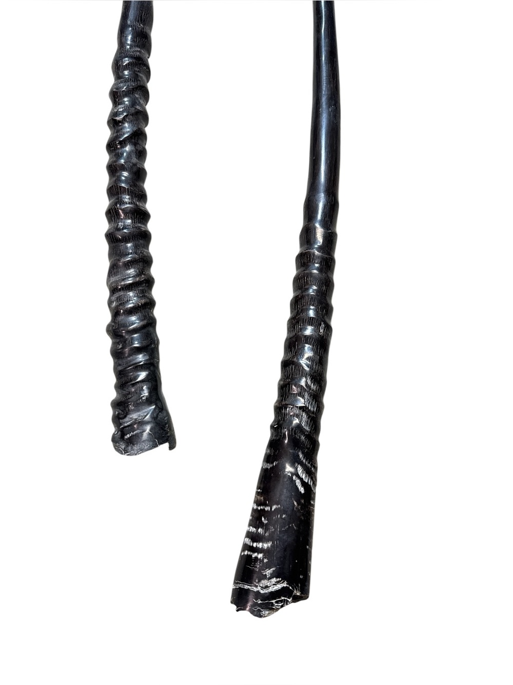 Polished Pair Oryx Gemsbok Horns 30 1/2” Pair Oryx Twised Polished Horns Antlers - Picture 4 of 5